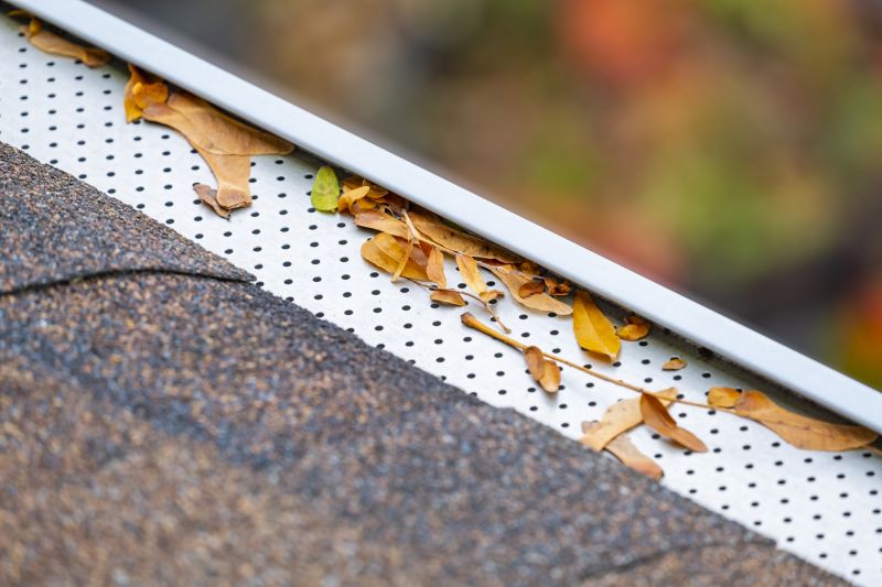 Gutter Cover Durability