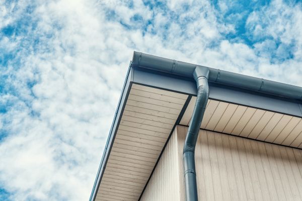 Gutter Fascia Repair in Ithaca